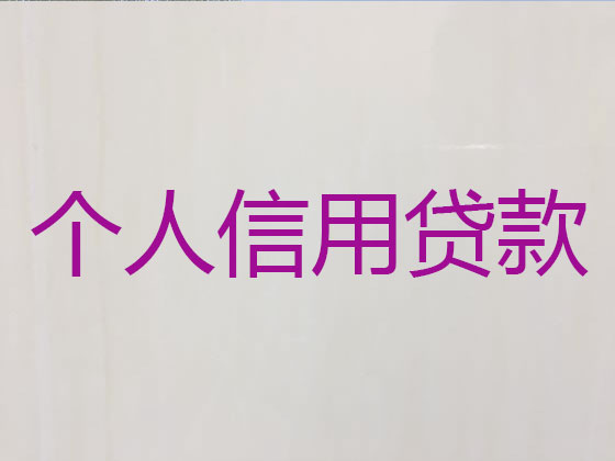 周口贷款公司-信用贷款